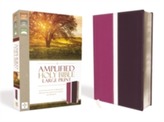  Amplified Holy Bible, Large Print, Leathersoft, Pink/Purple