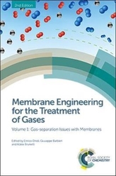  Membrane Engineering for the Treatment of Gases