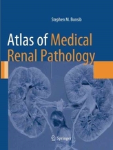  Atlas of Medical Renal Pathology