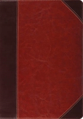  ESV Study Bible