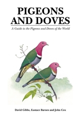  Pigeons and Doves