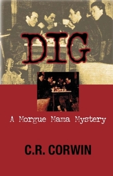  Dig