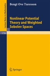  Nonlinear Potential Theory and Weighted Sobolev Spaces