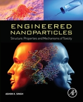  Engineered Nanoparticles