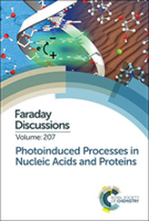  Photoinduced Processes in Nucleic Acids and Proteins