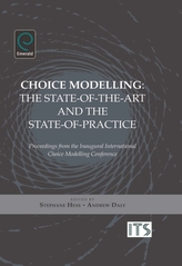  Choice Modelling