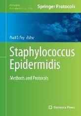  Staphylococcus Epidermidis