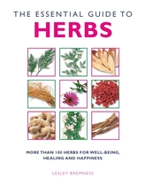  Essential Herbs