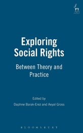 Exploring Social Rights