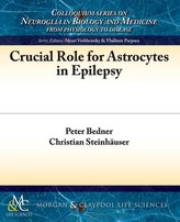  Crucial Role for Astrocytes in Epilepsy