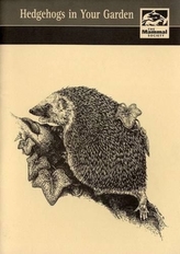  Hedgehogs in Your Garden?