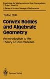  Convex Bodies and Algebraic Geometry