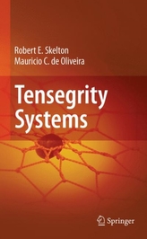  Tensegrity Systems