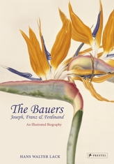 The Bauers Joseph, Franz & Ferdinand