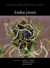  Endocytosis