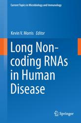  Long Non-coding RNAs in Human Disease