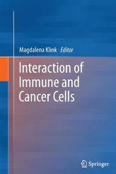  Interaction of Immune and Cancer Cells