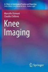  Knee Imaging