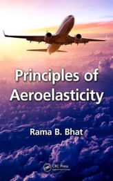  Principles of Aeroelasticity
