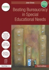  Beating Bureaucracy in Special Educational Needs