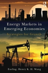  Energy Markets in Emerging Economies