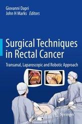  Surgical Techniques in Rectal Cancer