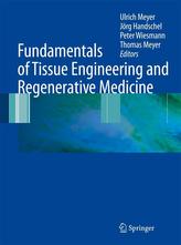  Fundamentals of Tissue Engineering and Regenerative Medicine