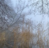  Hans Srand Intimate 1