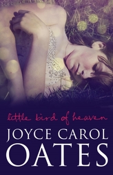  Little Bird of Heaven