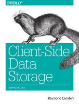  Client-Side Data Storage