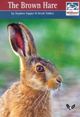 The Brown Hare