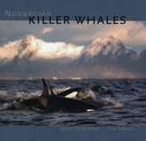  Norwegian Killer Whales