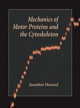  Mechanics of Motor Proteins and the Cytoskeleton