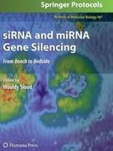  siRNA and miRNA Gene Silencing