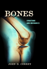 Bones