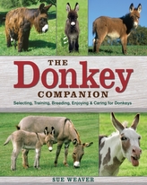  Donkey Companion, the