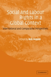  Social and Labour Rights in a Global Context