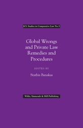  Global Wrongs and Private Law Remedies and Procedures
