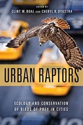  Urban Raptors