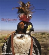  Sky Hunters