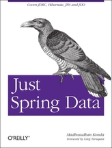  Just Spring Data