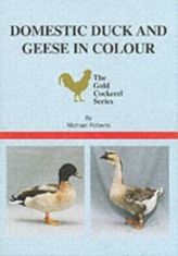  Domestic Duck and Geese in Colour