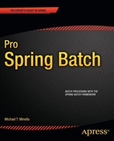  Pro Spring Batch