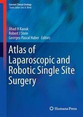  Atlas of Laparoscopic and Robotic Single Site Surgery