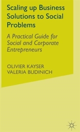  Scaling up Business Solutions to Social Problems