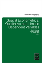  Spatial Econometrics