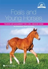 Foals and Young Horses