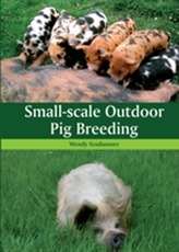  Small-scale Outdoor Pig Breeding