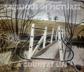 Ravilious in Pictures