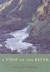 A View of the River